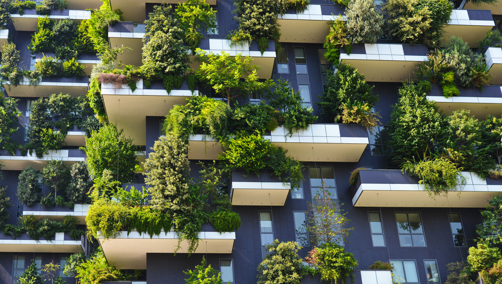 Balcony with trees